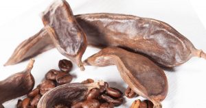 Read more about the article The chocolately tasty Carob